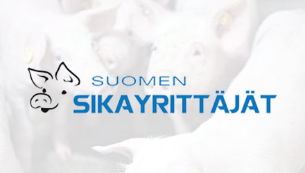 Suomen Sikayrittäjät kannattaa lausunnossaan sikojen ulkonapitokieltoa