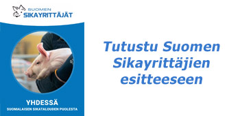 Sikayrittäjien esitteen kansikuva