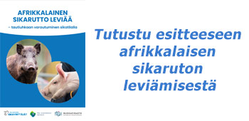 Sikarutto esitteen kansikuva