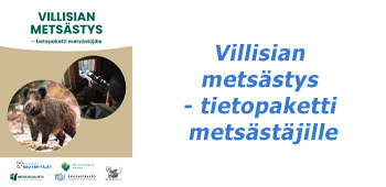 Villisian metsästys tietopaketti